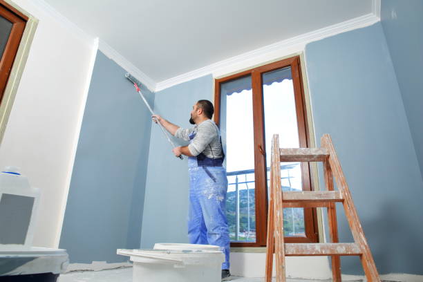 Best Basement Mold Removal  in Robinwood, MD