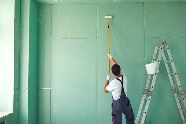 Best Mold Remediation for Vacation Homes  in Robinwood, MD