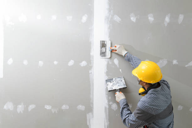 Best Mold Removal for HVAC Installations  in Robinwood, MD