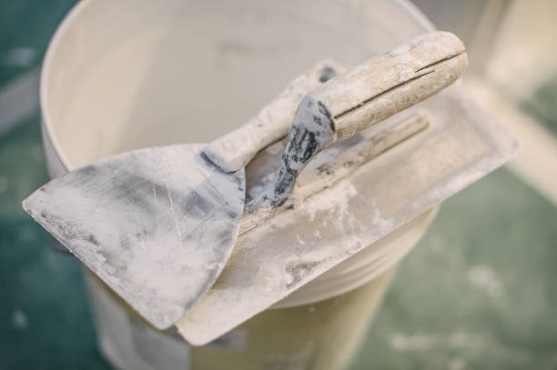 Professional Mold Removal in Robinwood, MD