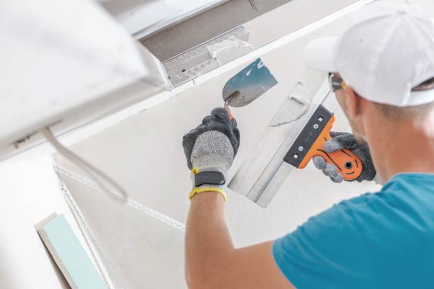 Best Forensic Mold Investigation  in Robinwood, MD